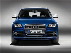 柴油動力添猛將 奧迪官方發布S系列首款柴油車型SQ5